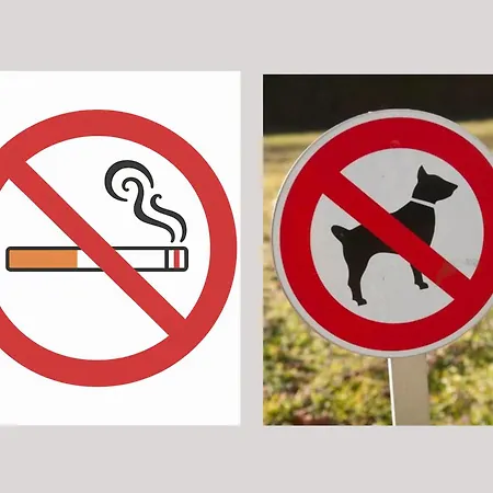 Apartment Le Nid D 2 Pers 8 Min Centre & Gare