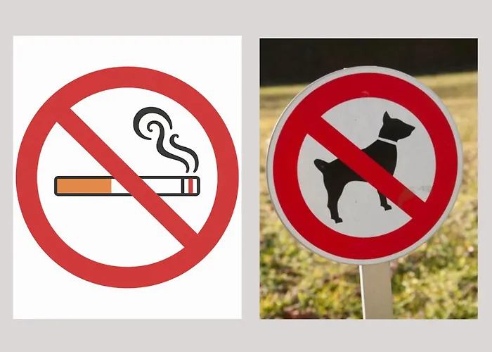 Apartamento Le Nid D 2 Pers 8 Min Centre & Gare